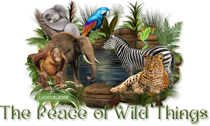The Peace of Wild Things